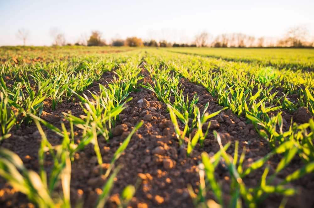 Krishi Drishti smart agriculture sensor telemetry and irrigation system